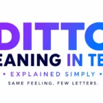 Ditto Meaning in Text: Means and How People Use It Online