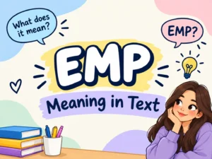 what-does-emp-mean